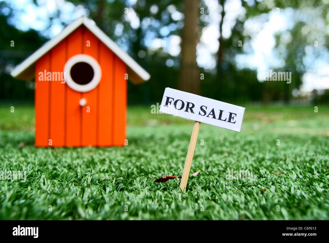 House (bird) for sale Stock Photo - Alamy