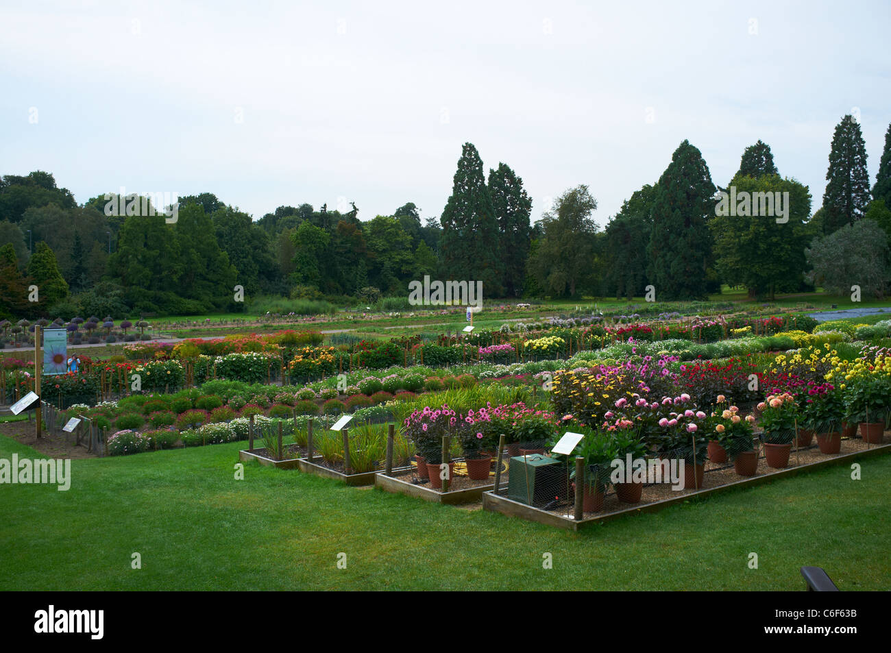 Trials Field RHS Garden Wisley Woking Surrey UK Stock Photo