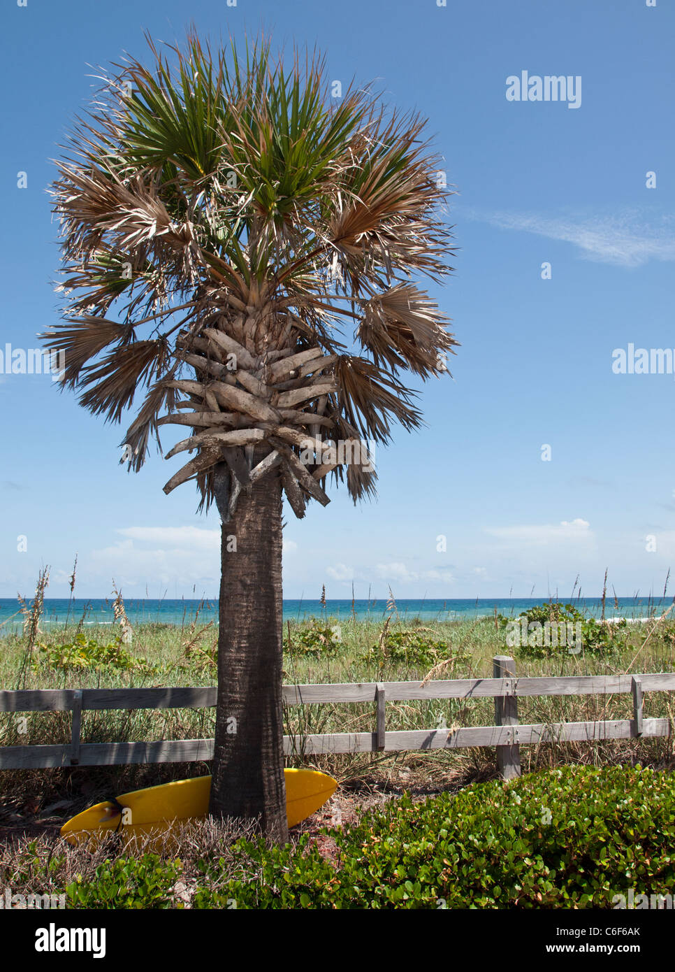 Ponce de Leon Landing site at Melbourne Beach on the East Coast of