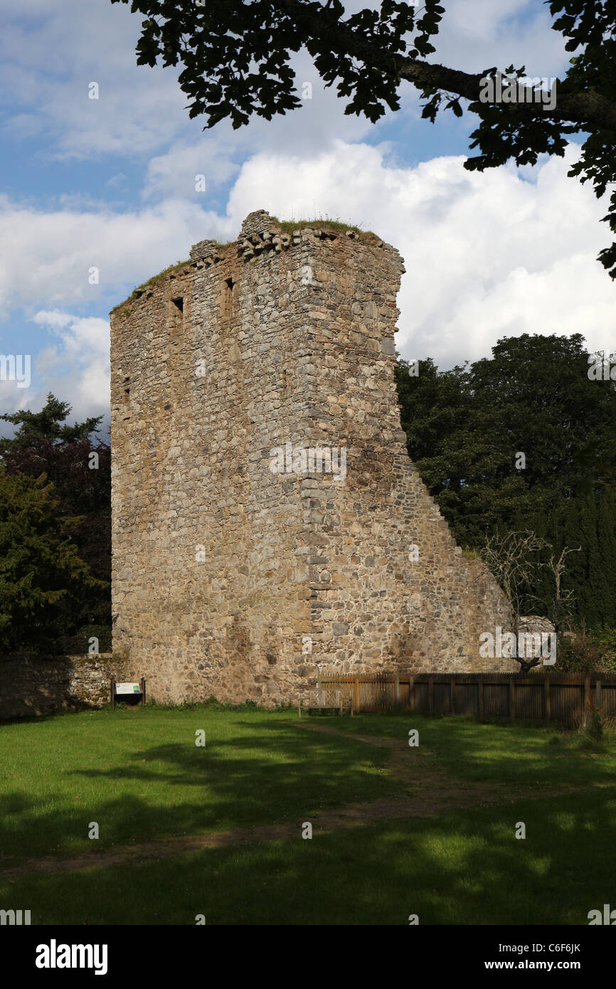 Ruins of [Drumin Castle], a 14th Century [tower house] near Glenlivet, Moray (Aberdeenshire) Scotland Stock Photo