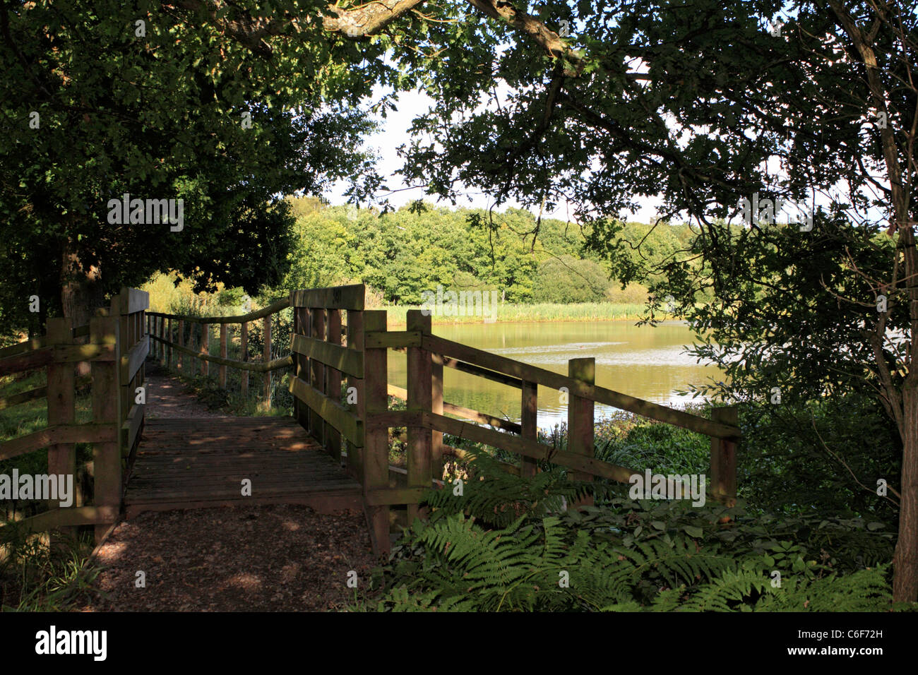 Epsom Common, Epsom, Surrey, England UK Stock Photo Alamy