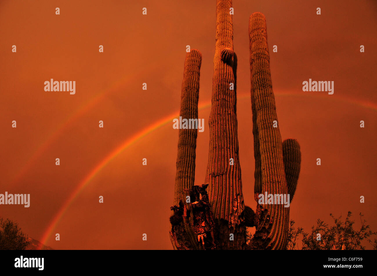 A rainbow appears at sunset during a monsoon rain storm in Tucson ...