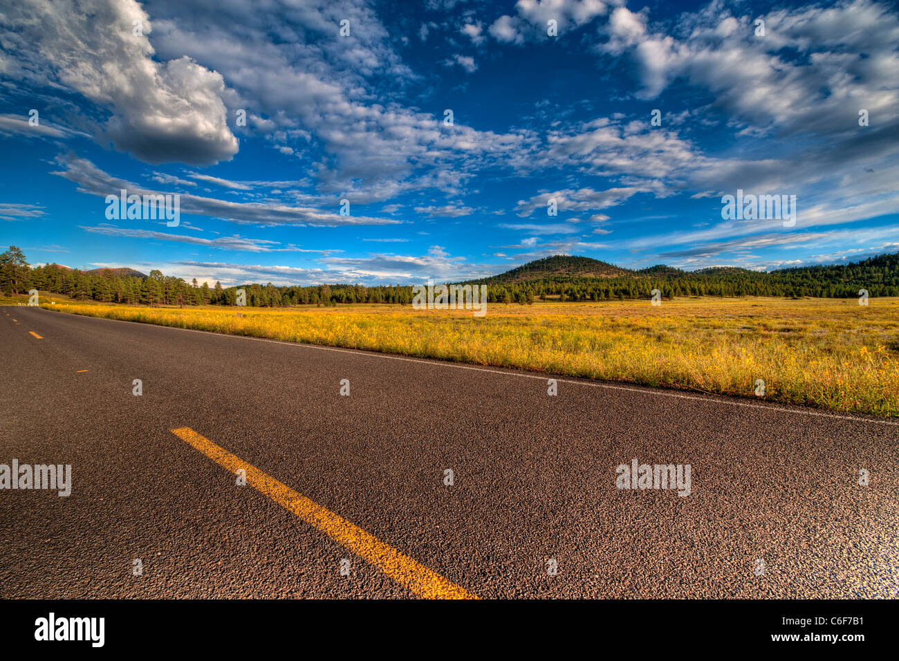 Tar road running through Sunset Crater National Monument in northern Arizona. Sunset. Stock Photo