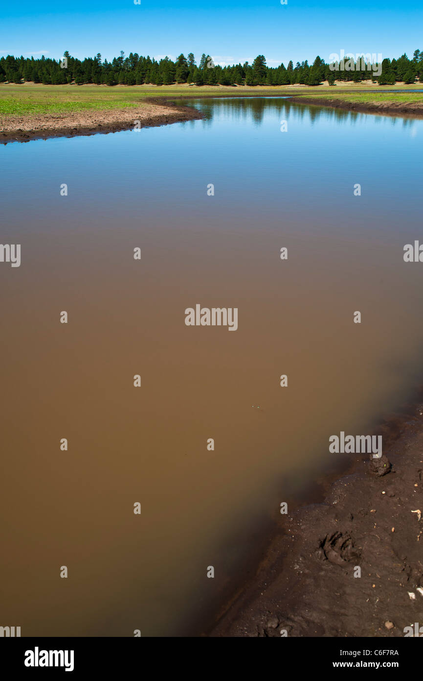 Lower Lake Mary is one of two reservoirs in northern Arizona, southeast