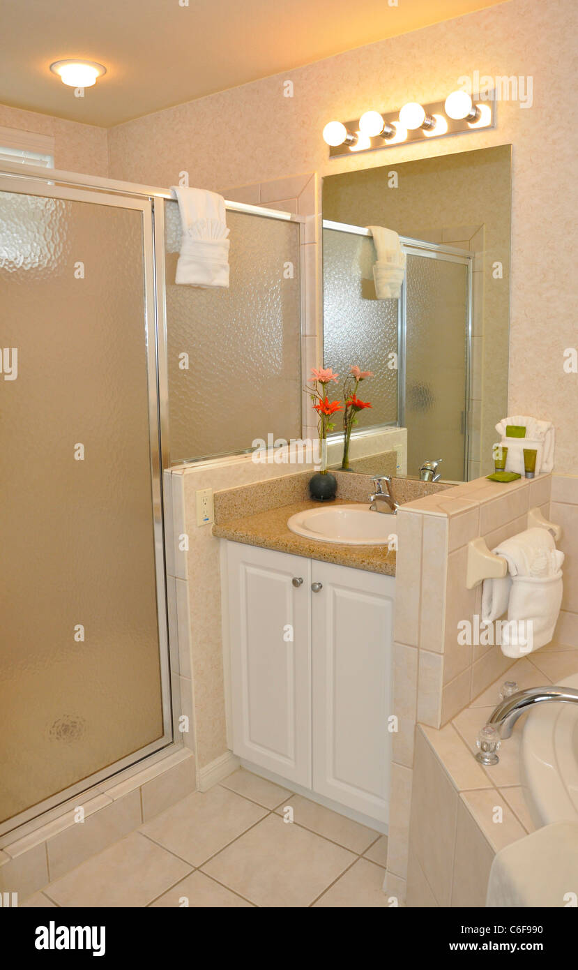 vanity and shower enclosure for a modern bathroom Stock Photo