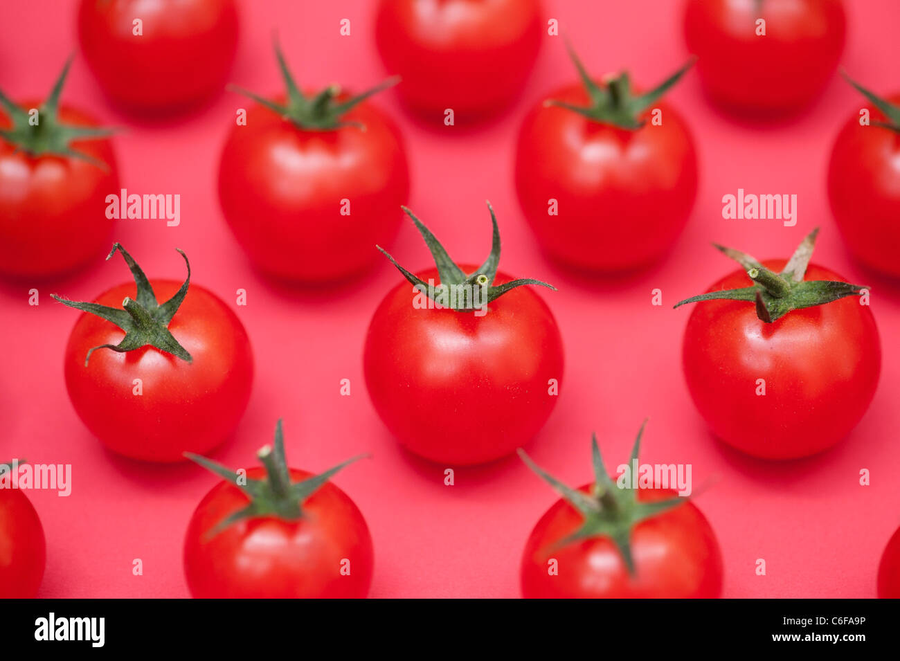 Solanum lycopersicum . Cherry Tomato fruit pattern on red background Stock Photo