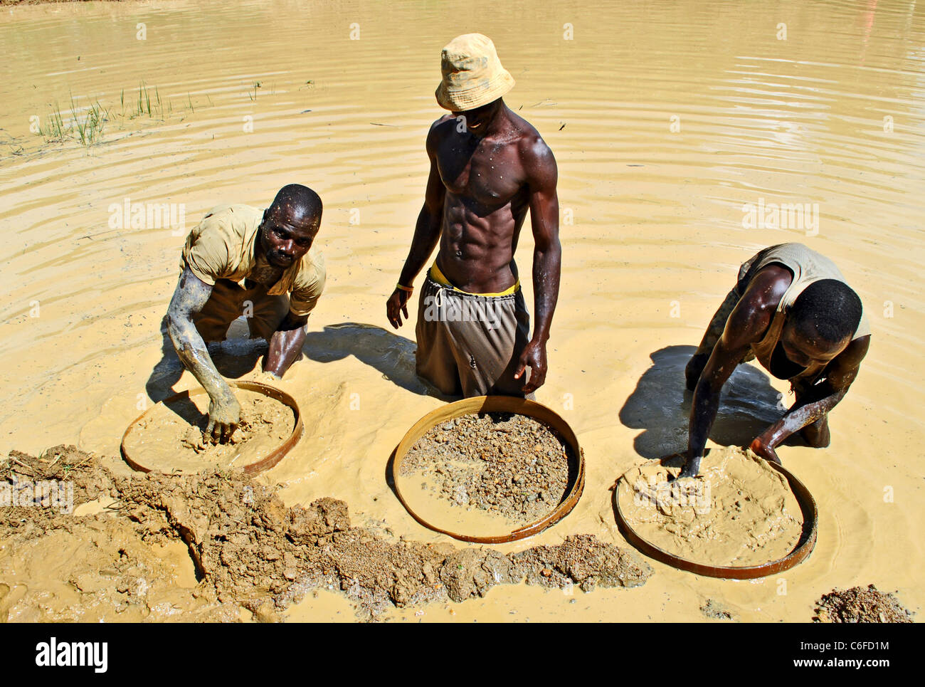 71 Diamond Miners Of Borneo Stock Photos, High-Res Pictures, and