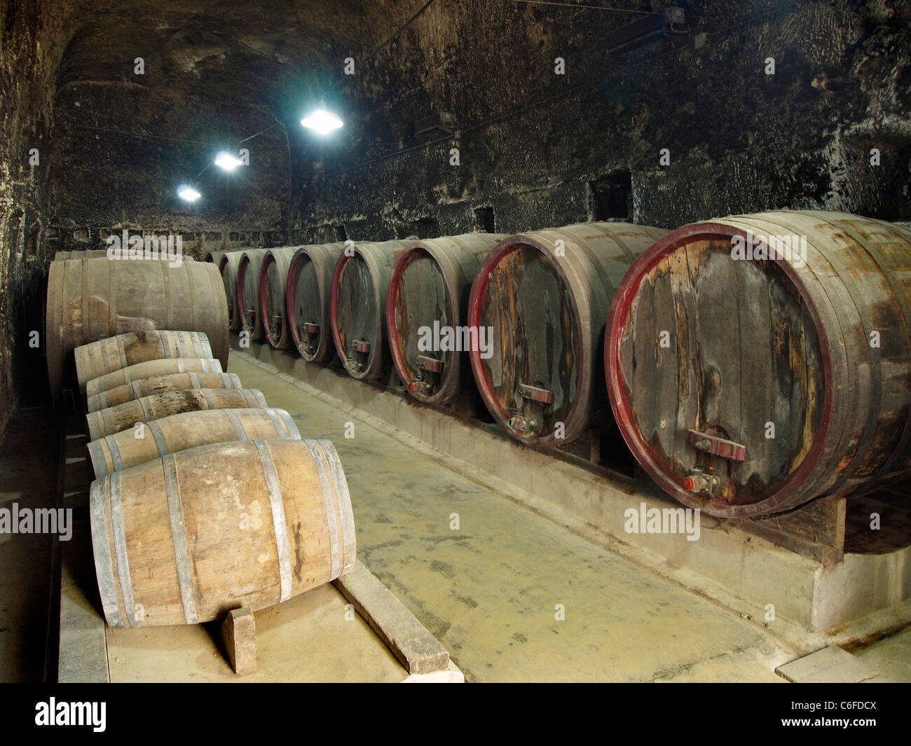 Cellar with large wooden wine barrels in Chateau de Brézé, Loire valley, France. Stock Photo