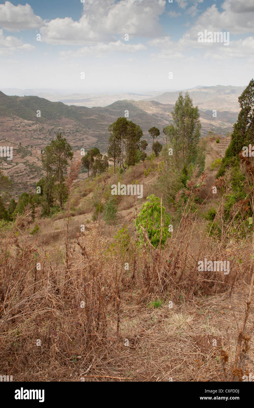 Landscape of the Chercher  Mountains in the Eastern  Highlands, Ethiopia, Africa. Stock Photo