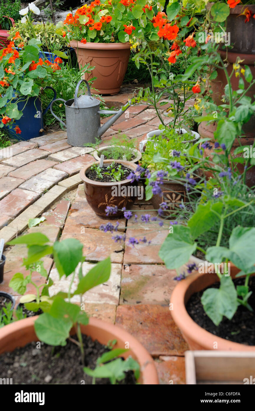 Reclaimed brick path hi-res stock photography and images - Alamy