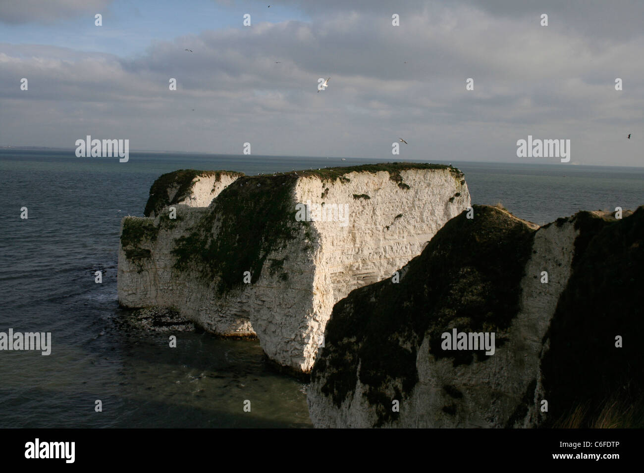 Old harrys rocks hi-res stock photography and images - Alamy