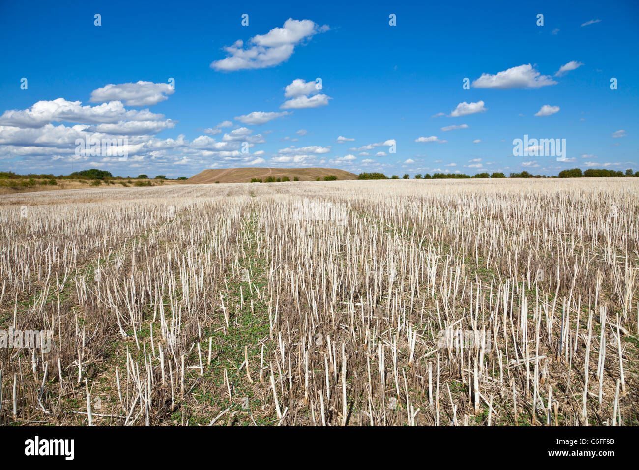 Fields of stubble after harvesting late summer Midlands England UK GB EU Europe Stock Photo