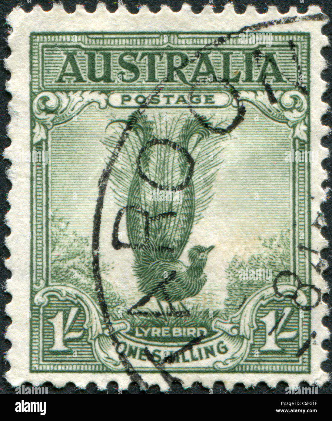 AUSTRALIA - 1937: A stamp printed in Australia, shows the Superb Lyrebird (Menura novaehollandiae) Stock Photo