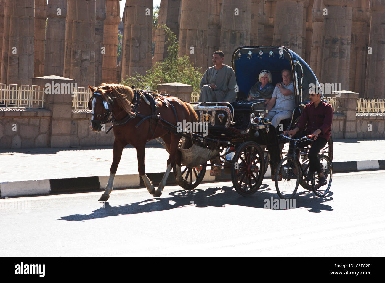 Horse carriage, Luxor, Egypt Stock Photo Alamy