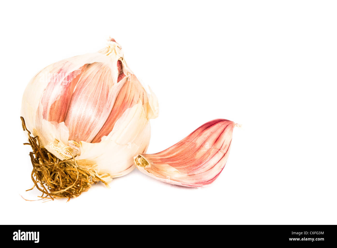 Close Up of a Garlic Bulb & Clove on a White Background Stock Photo - Alamy