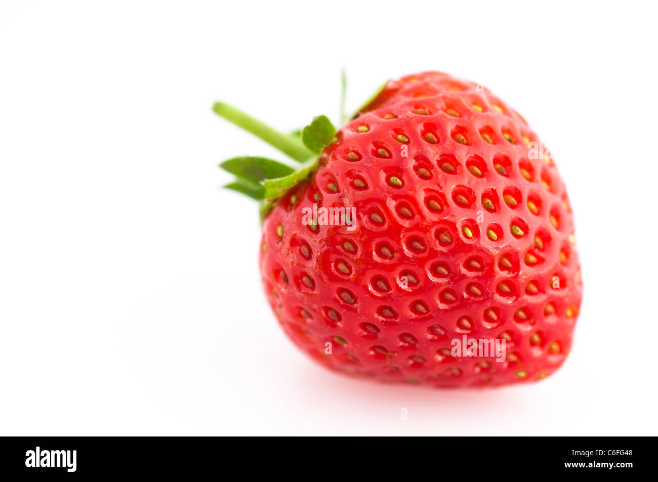 Close Up of One Strawberry on a White Background. Stock Photo