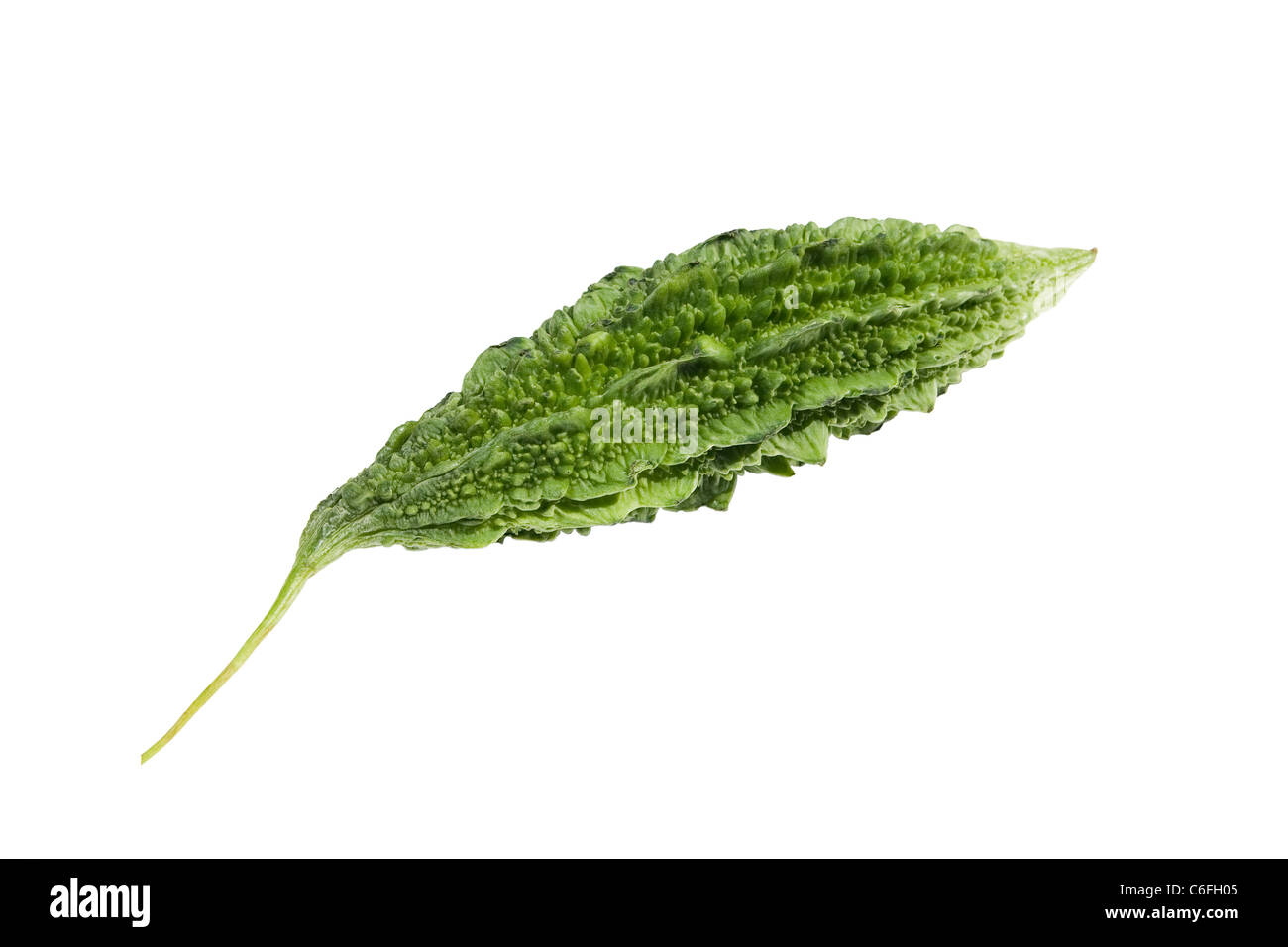 Indian bitter melon (Momordica charantia) isolated on white background Stock Photo