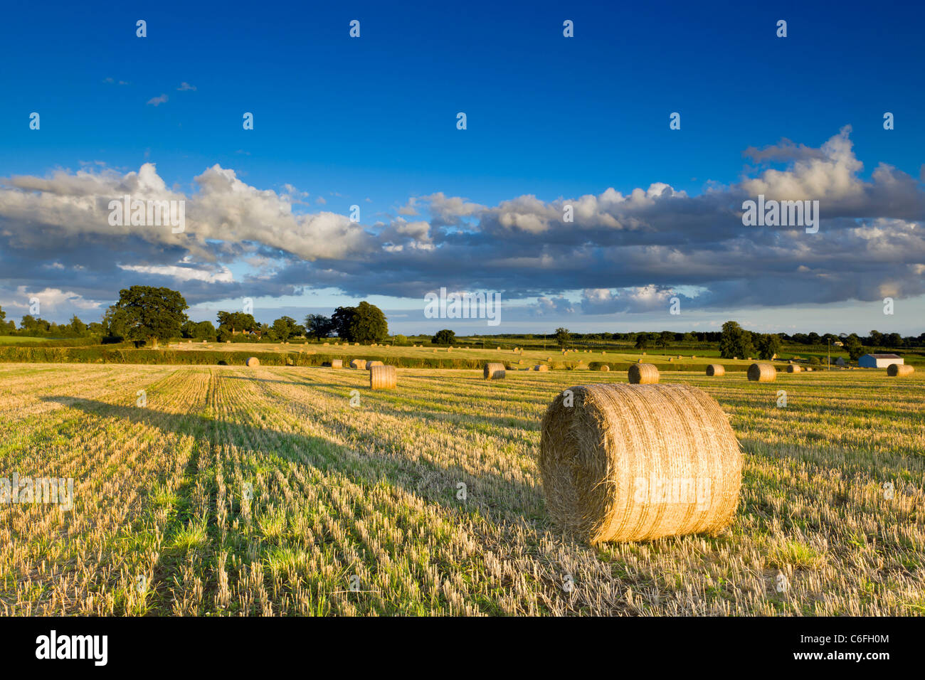 English Countryside in late August Stock Photo