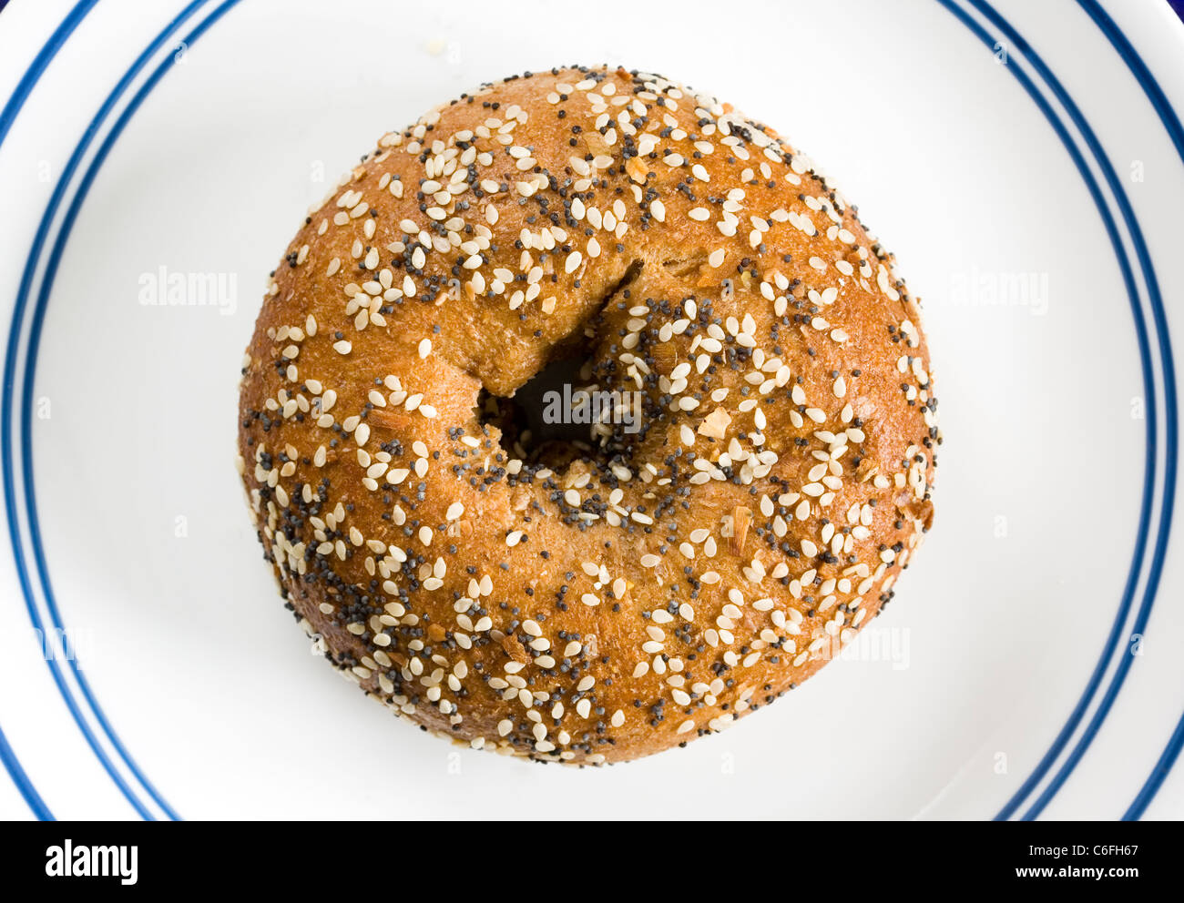 whole wheat bagel with everything topping on a white plate with blue rings Stock Photo