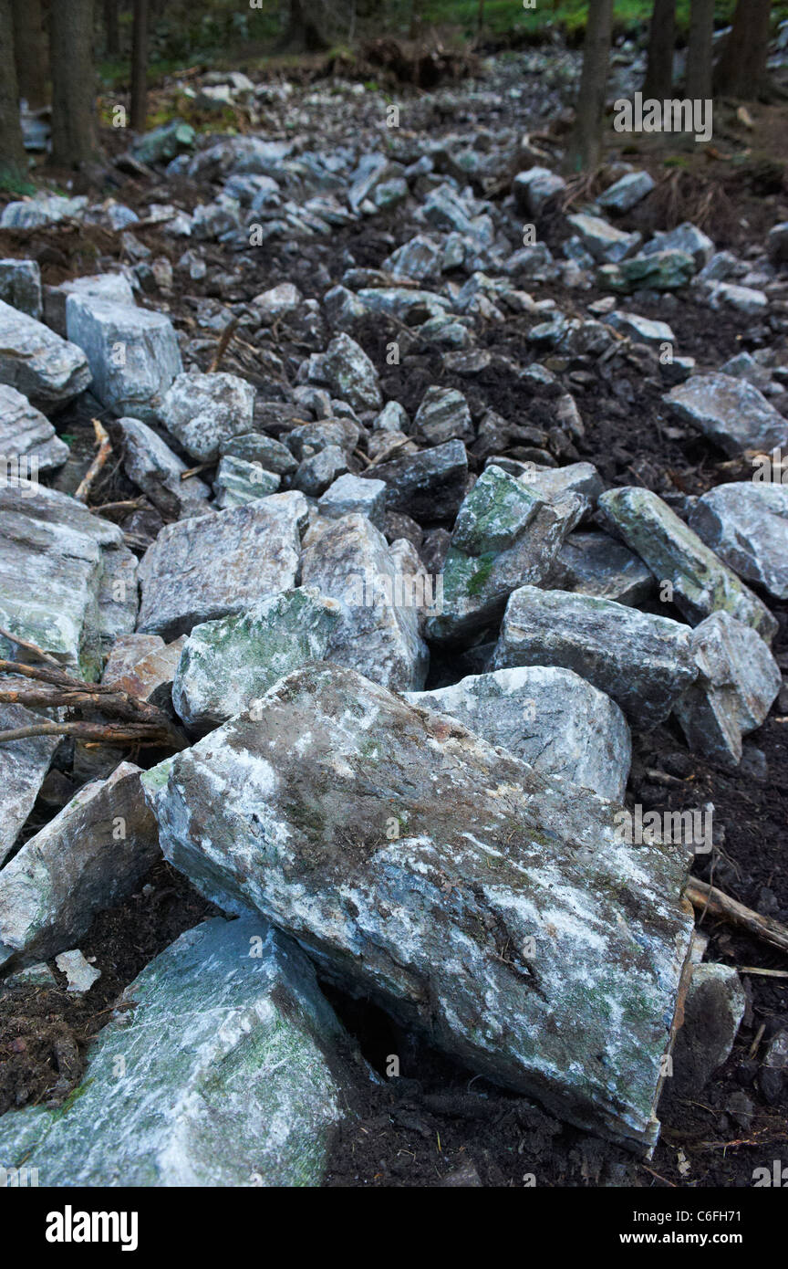 Old Forest Rocks Rocks in forest Stock Photo - Alamy