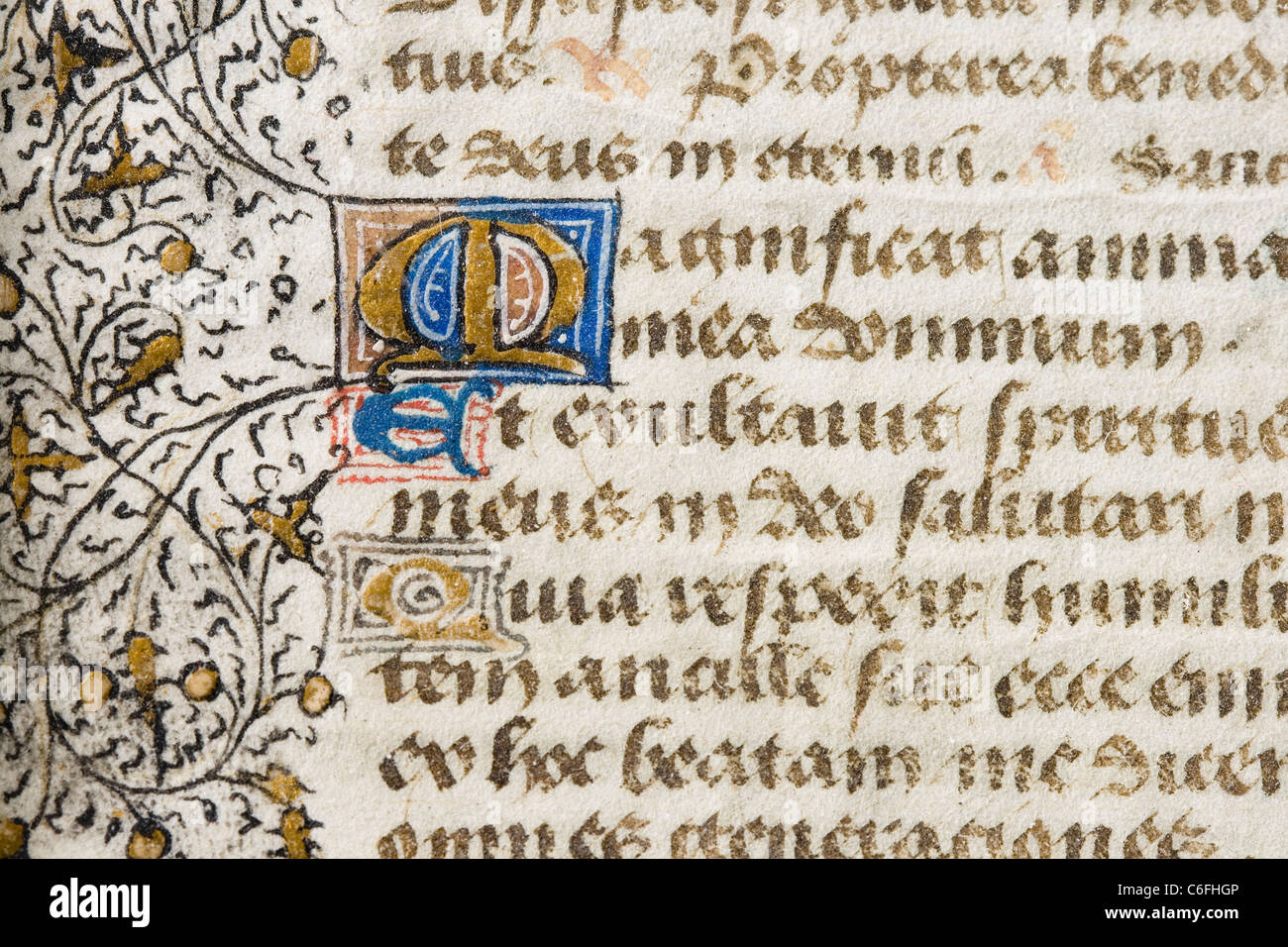 detail of an illuminated manuscript containing a portion of the Magnificat Stock Photo