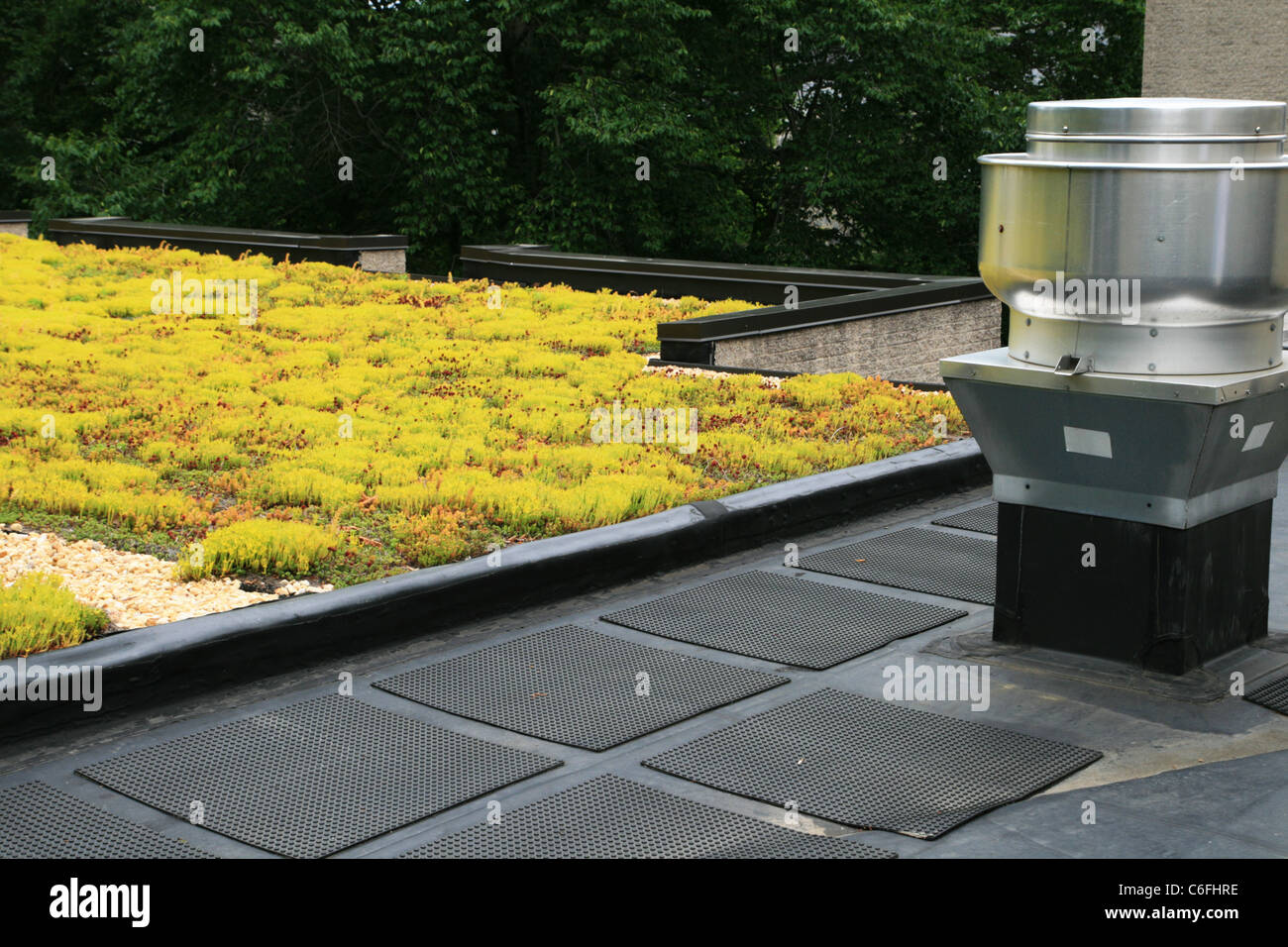 partial green roof top covered with sedum plants Stock Photo