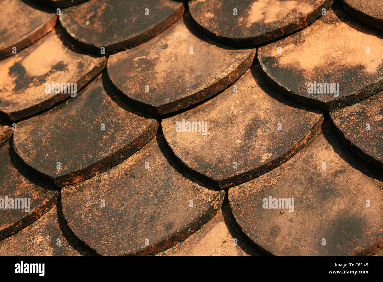 scale shaped ceramic tile roof background detail Stock Photo
