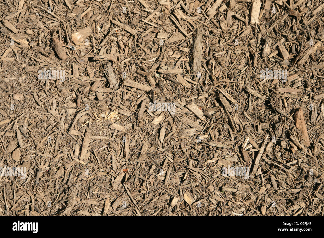 shredded wood chip mulch background texture Stock Photo