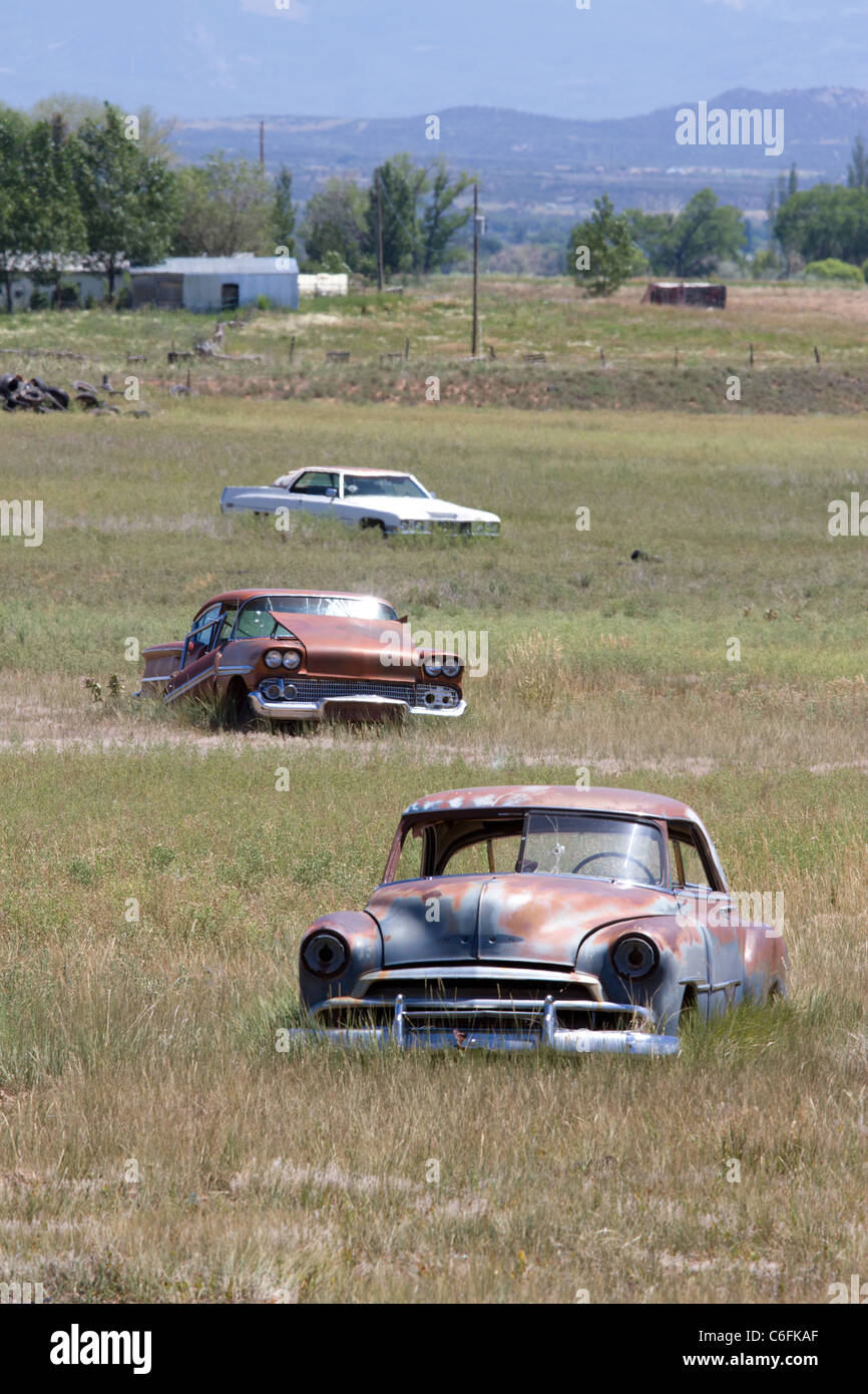 Abandoned cars near Cortez, Colorado Stock Photo Alamy