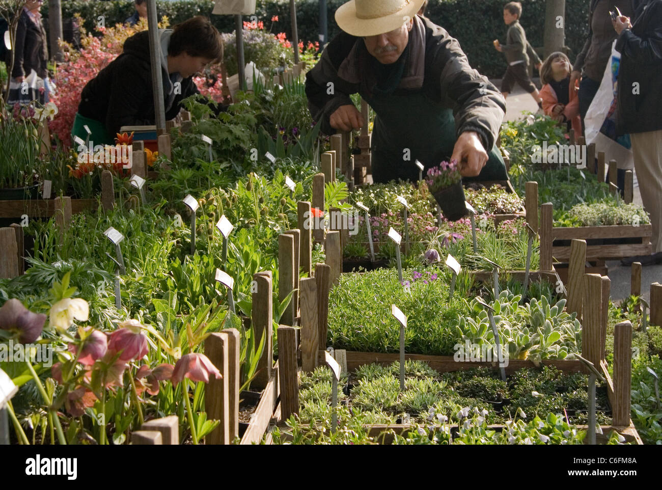 Market Zurich Stock Photos & Market Zurich Stock Images Alamy