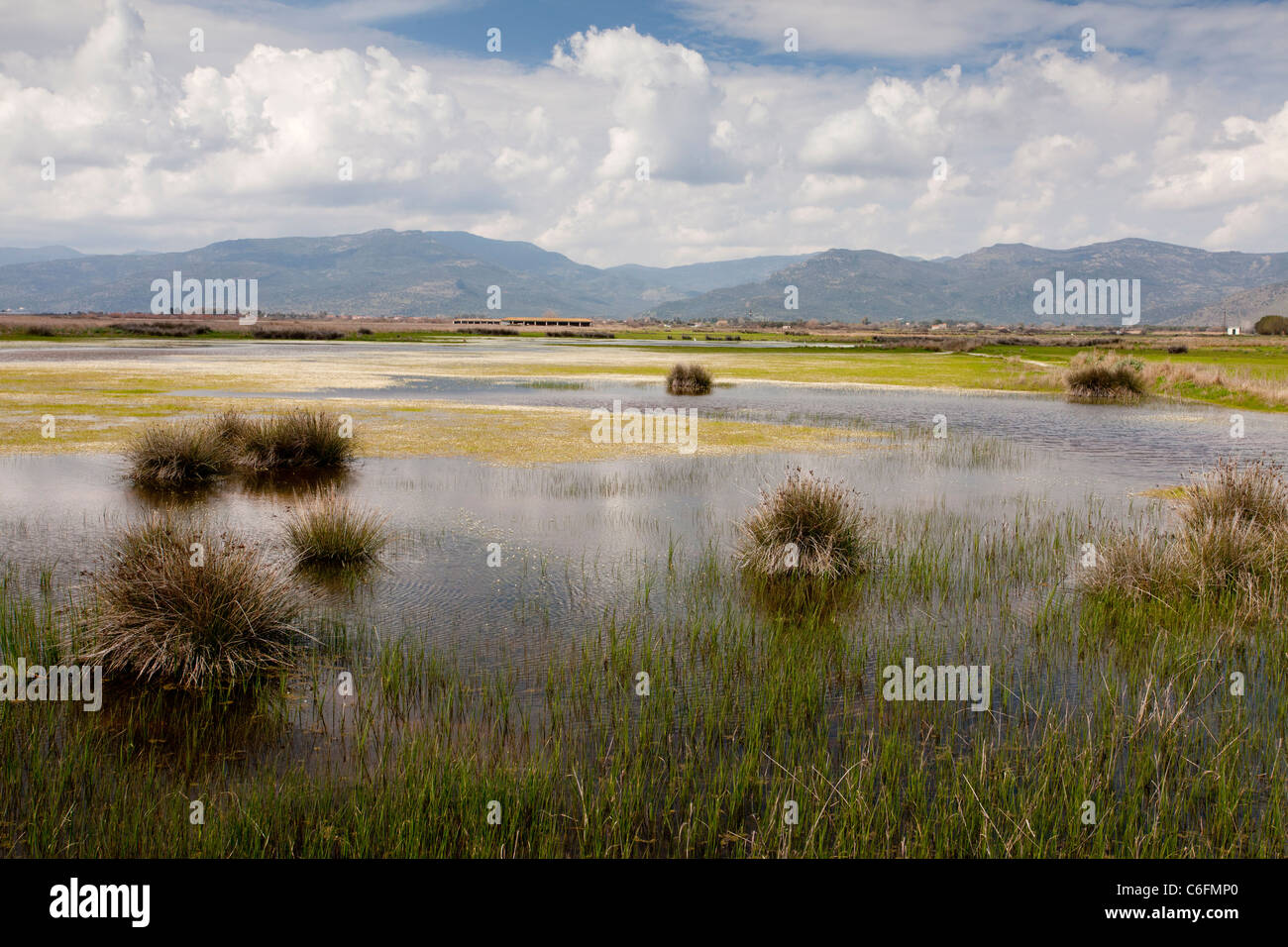 Bird-rich coastal wetlands at the head of the Gulf of Kalloni, Lesvos (Lesbos), Greece. Stock Photo
