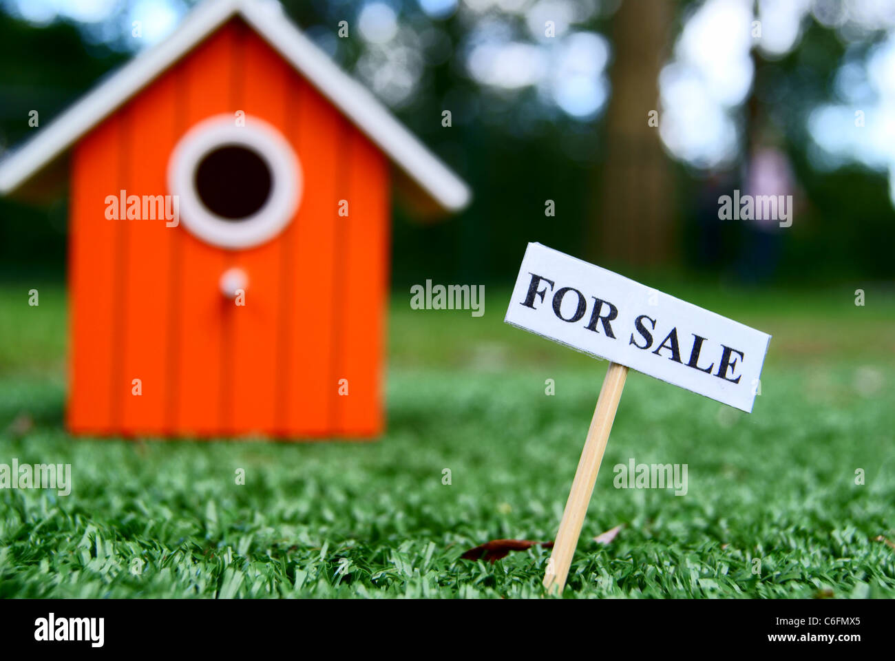 House (bird) for sale Stock Photo Alamy