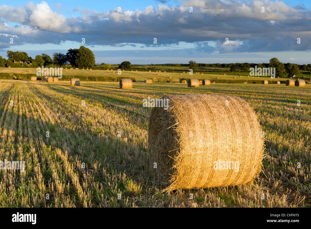 English Countryside in late August Stock Photo
