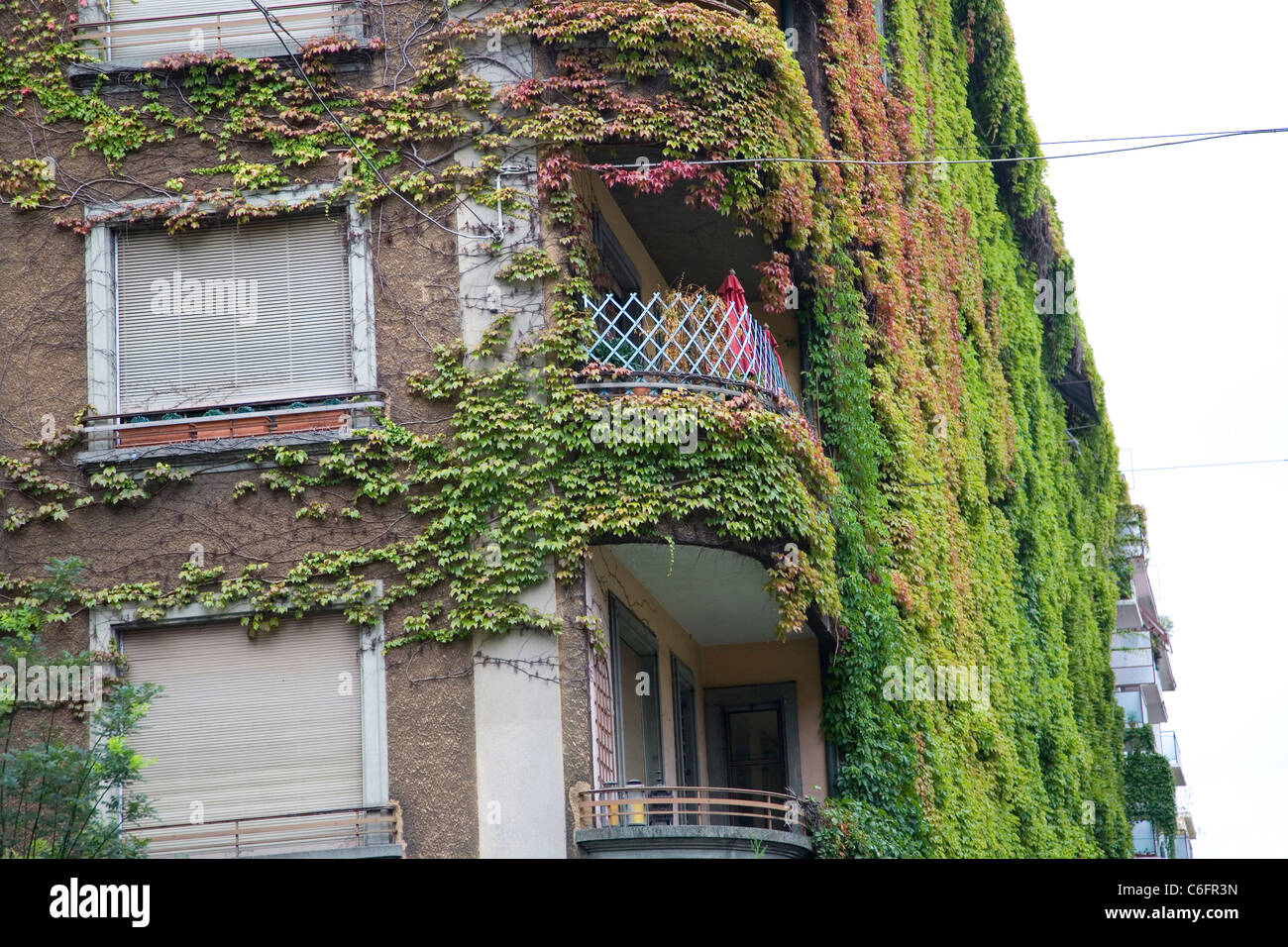 Apartment covered in ivy in Champel area of Geneva Stock Photo Alamy
