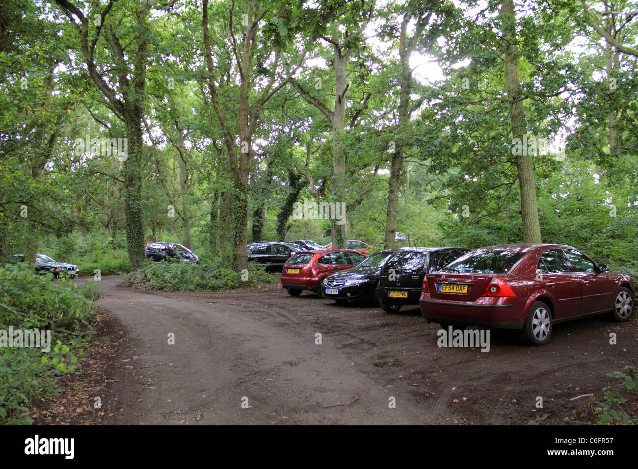 Car park at Epsom Common, Epsom, Surrey, England UK Stock Photo Alamy