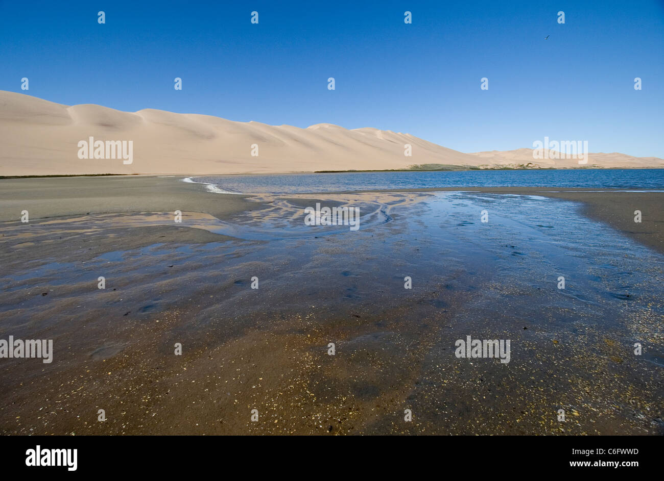 Namib desert dunes on the edge of Altantic ocean Stock Photo