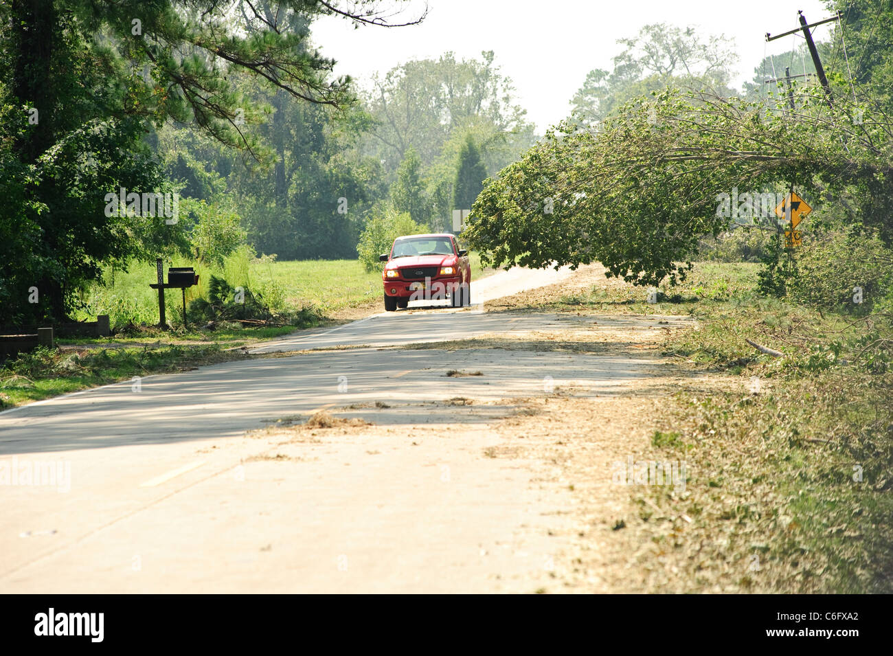 Downed tree hires stock photography and images Alamy
