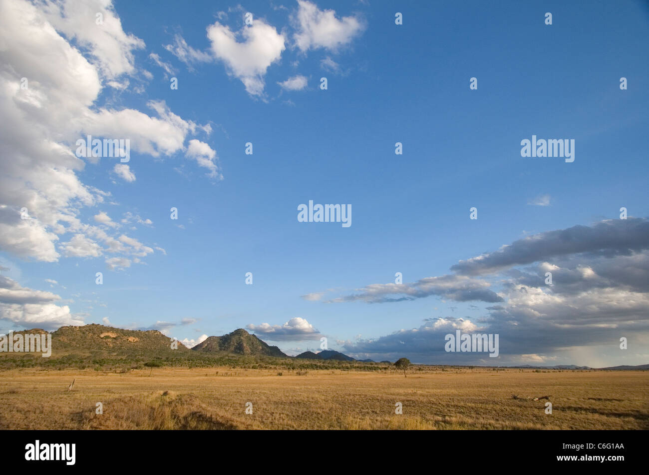 Open plains of Tsavo East National Park, Kenya Stock Photo