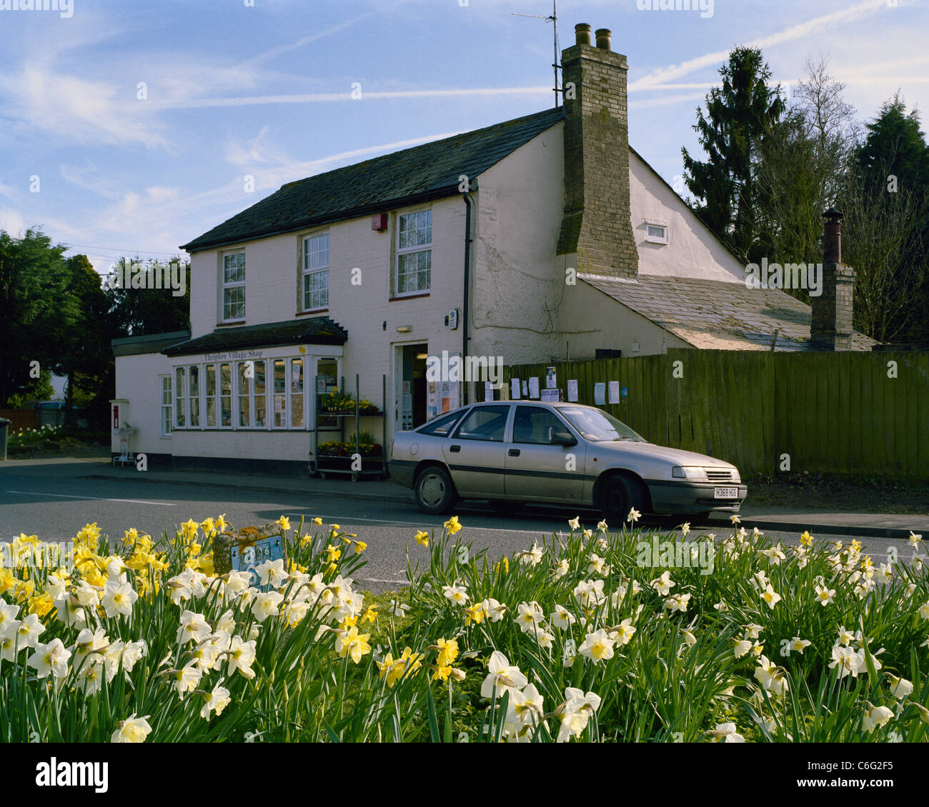 Thriplow village shop and daffodils Cambridgeshire Stock Photo
