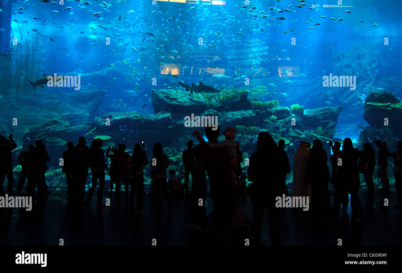 Dubai aquarium leak hires stock photography and images Alamy