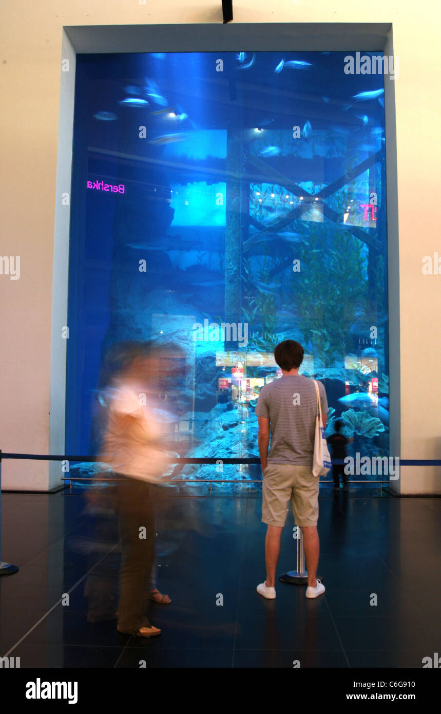 Dubai aquarium leak hires stock photography and images Alamy