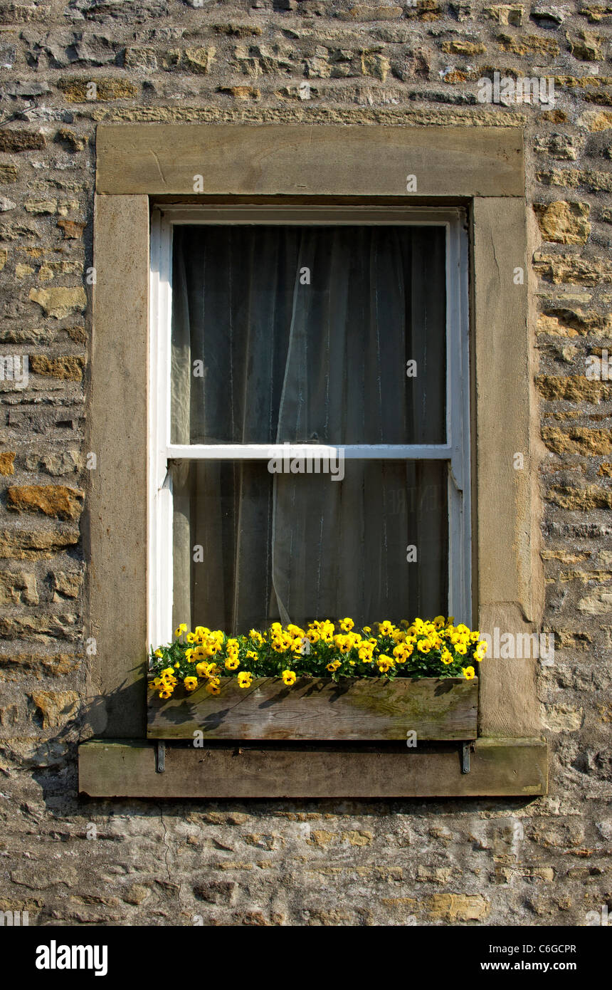 Colourful window box in a stone built cottage Stock Photo