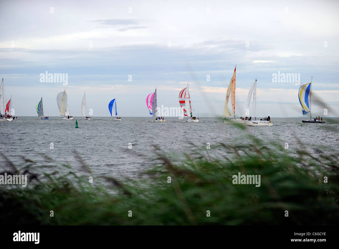 Sailingboats during a regatta in Holland near Enkhuizen. Sailing before