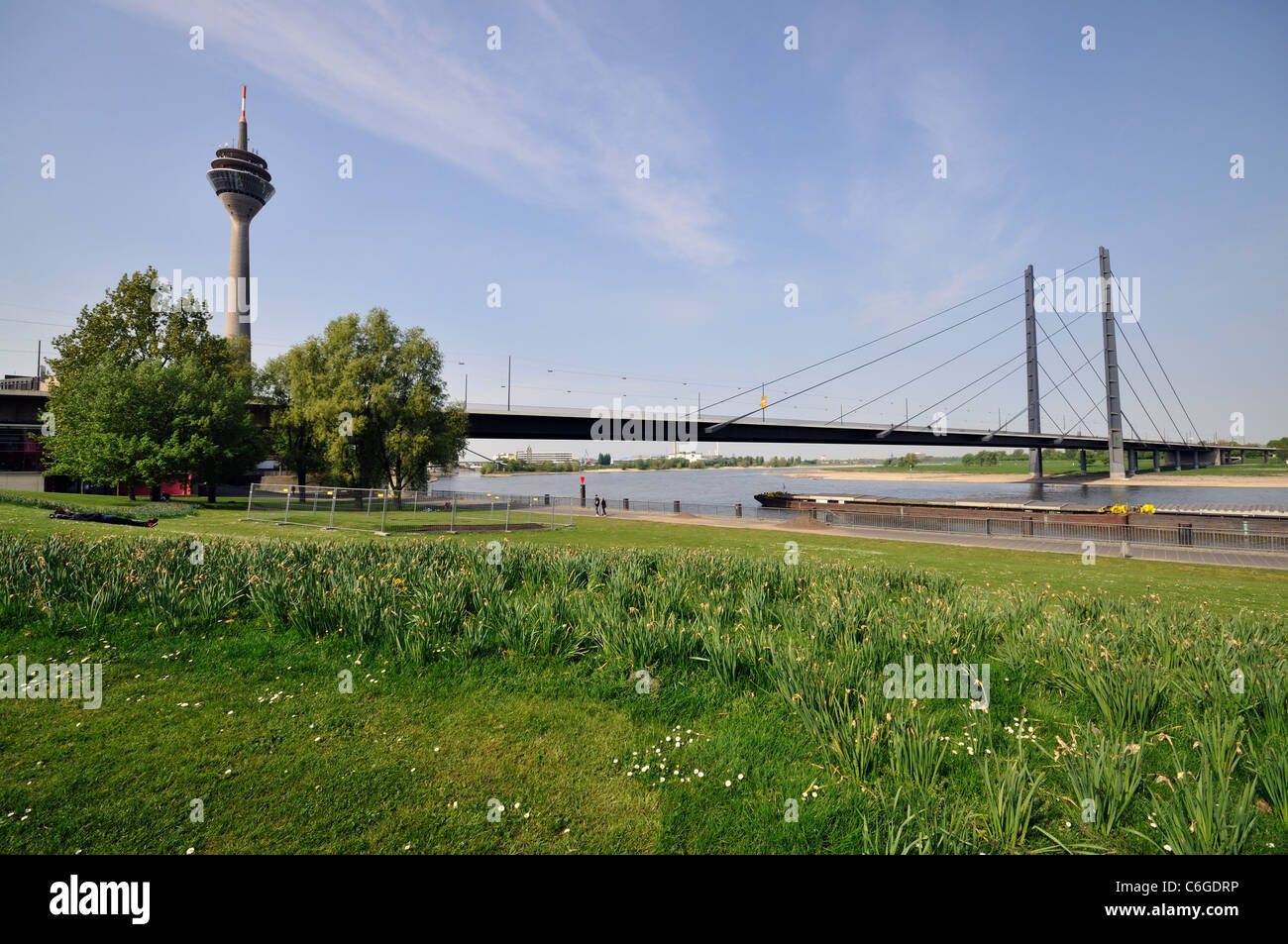 Rheinturm (240.5 metres / 789 ft height tower) and Rheinkniebrücke (bridge). Bank of Rhine Rheinturm (240.5 metres / 789 ft height tower) and Rheinkniebrücke (bridge). Bank of Rhine