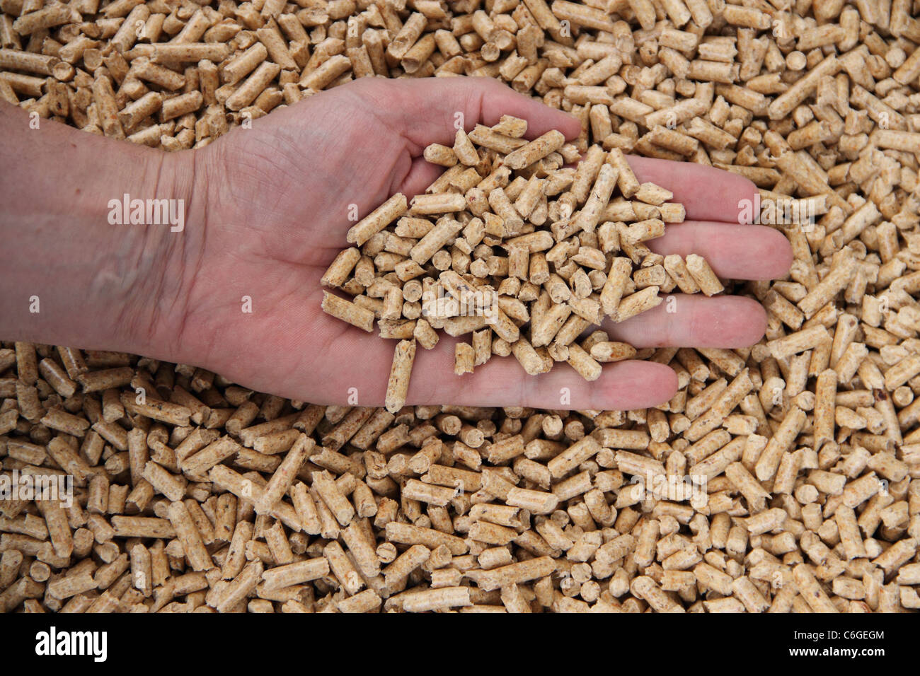 pellets for heating with renewable wood energy Stock Photo