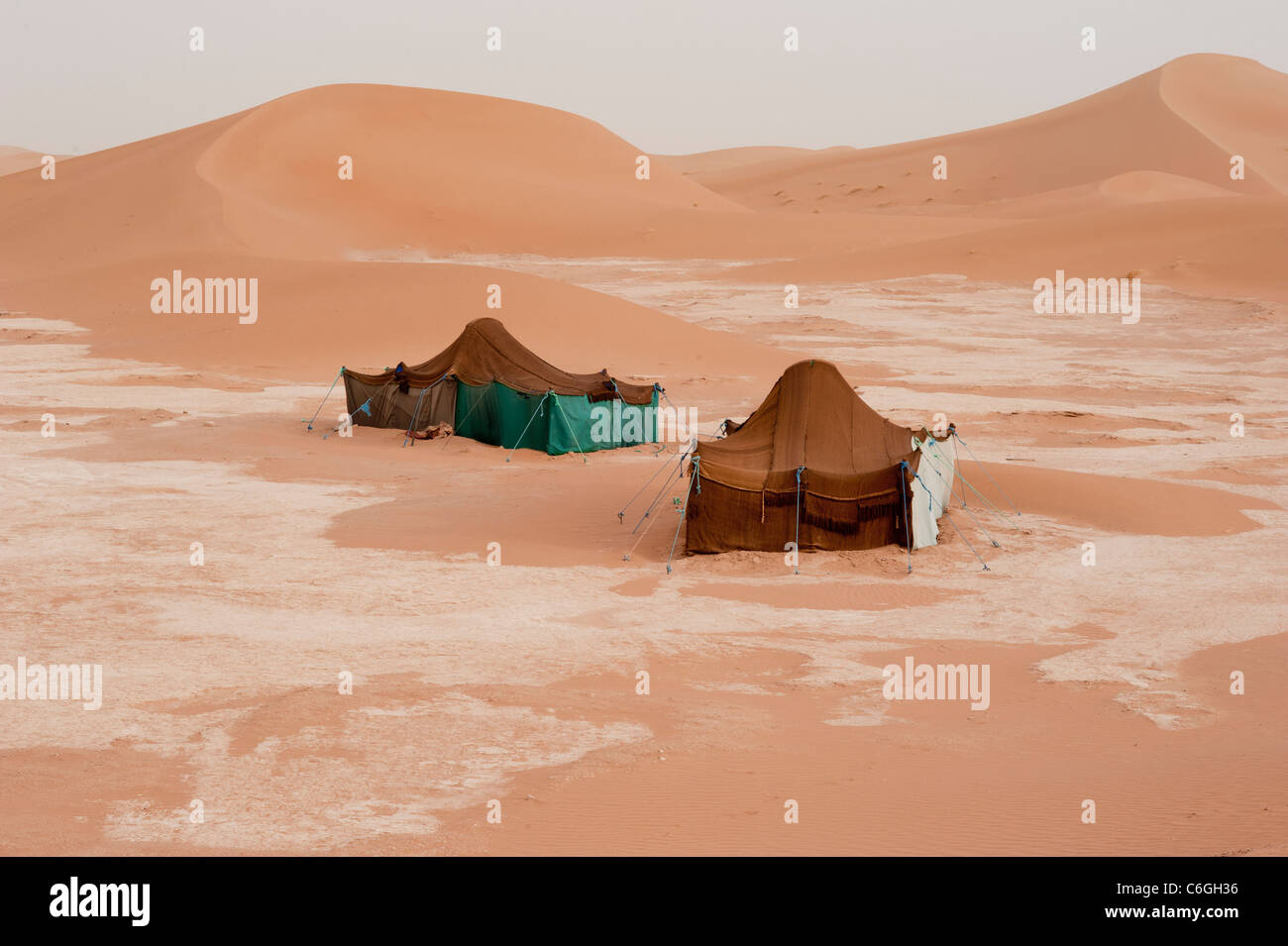Bedouin tent in the Saharan sand dunes, Morocco. Stock Photo