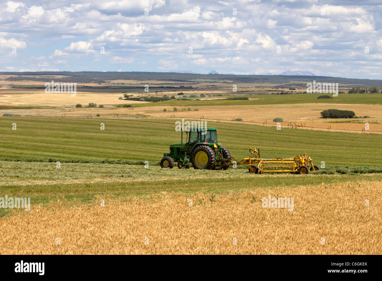 Tractor in field near Cortez, Colorado Stock Photo Alamy