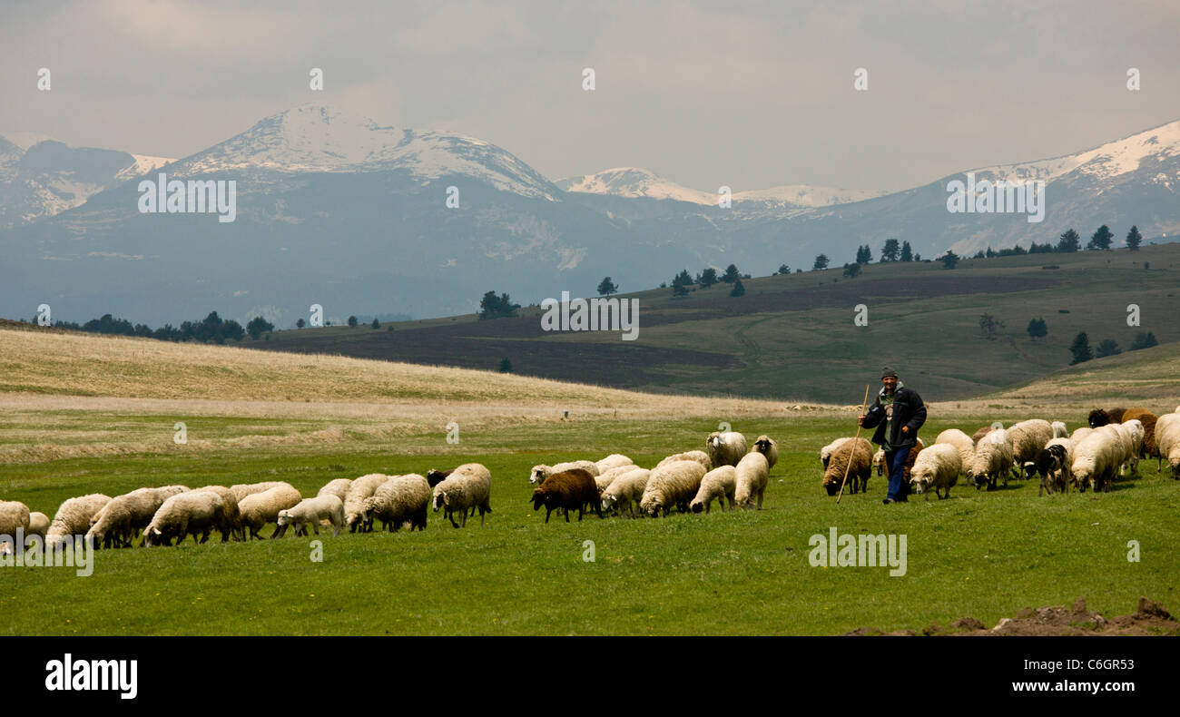 Lonely Shepherd High Resolution Stock Photography and Images - Alamy