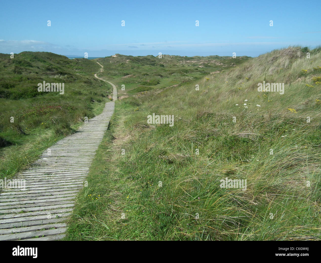 BRAUNTON BURROWS in north west Devon, England showing the boardwalk through the dune system. Photo Tony Gale Stock Photo