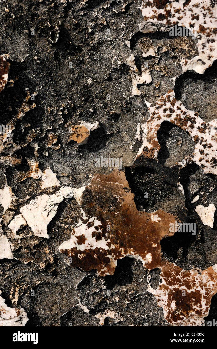 Volcanic rock close-up texture background Stock Photo